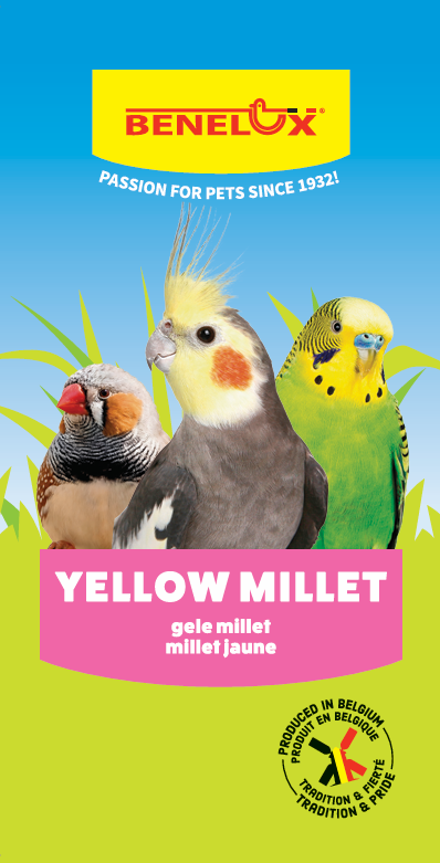 [BP111003] GELE MILLET 1KG QS