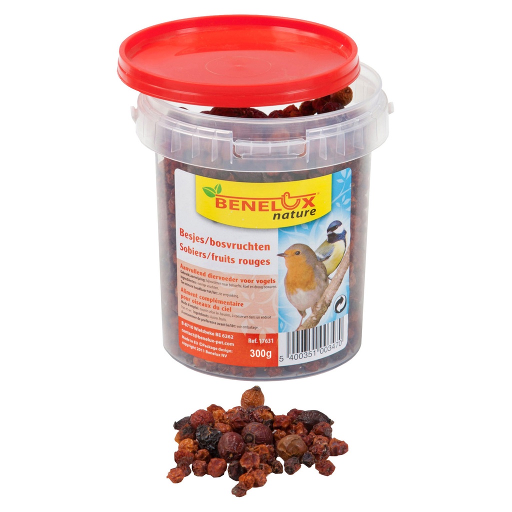 [BP17631] BESJES VOOR TUINVOGELS 0,3KG EMMER 