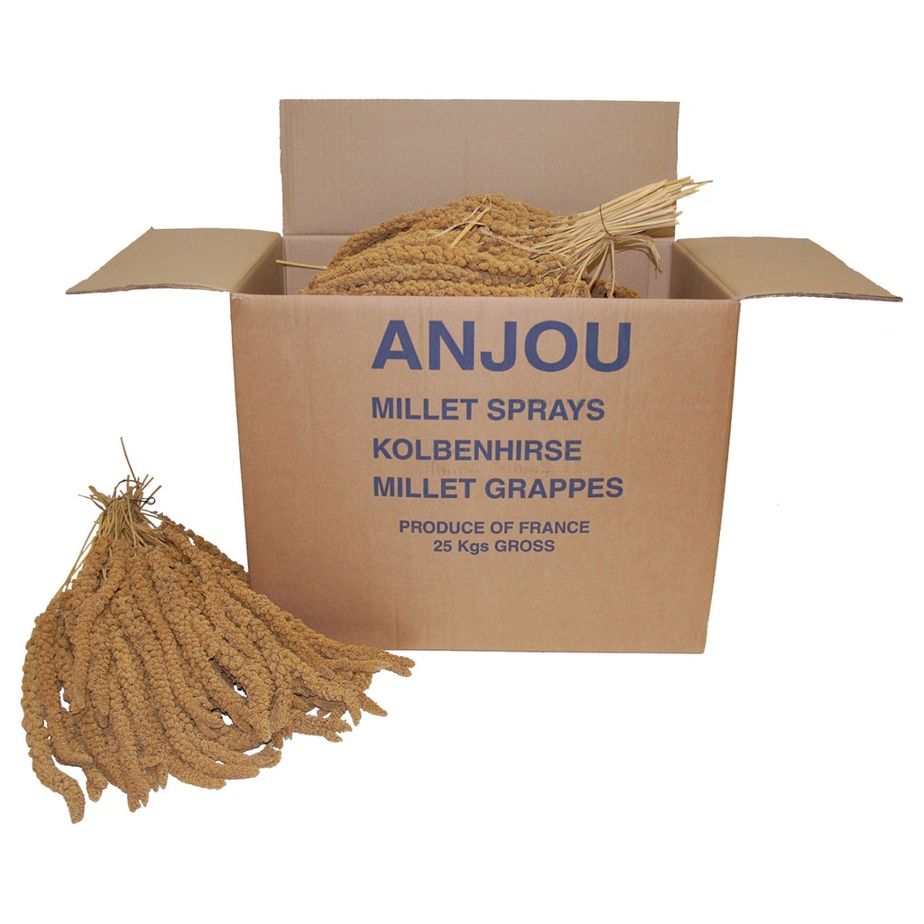 [BP1143001] TROSGIERST FRANSE 25KG VOOR DUIVEN