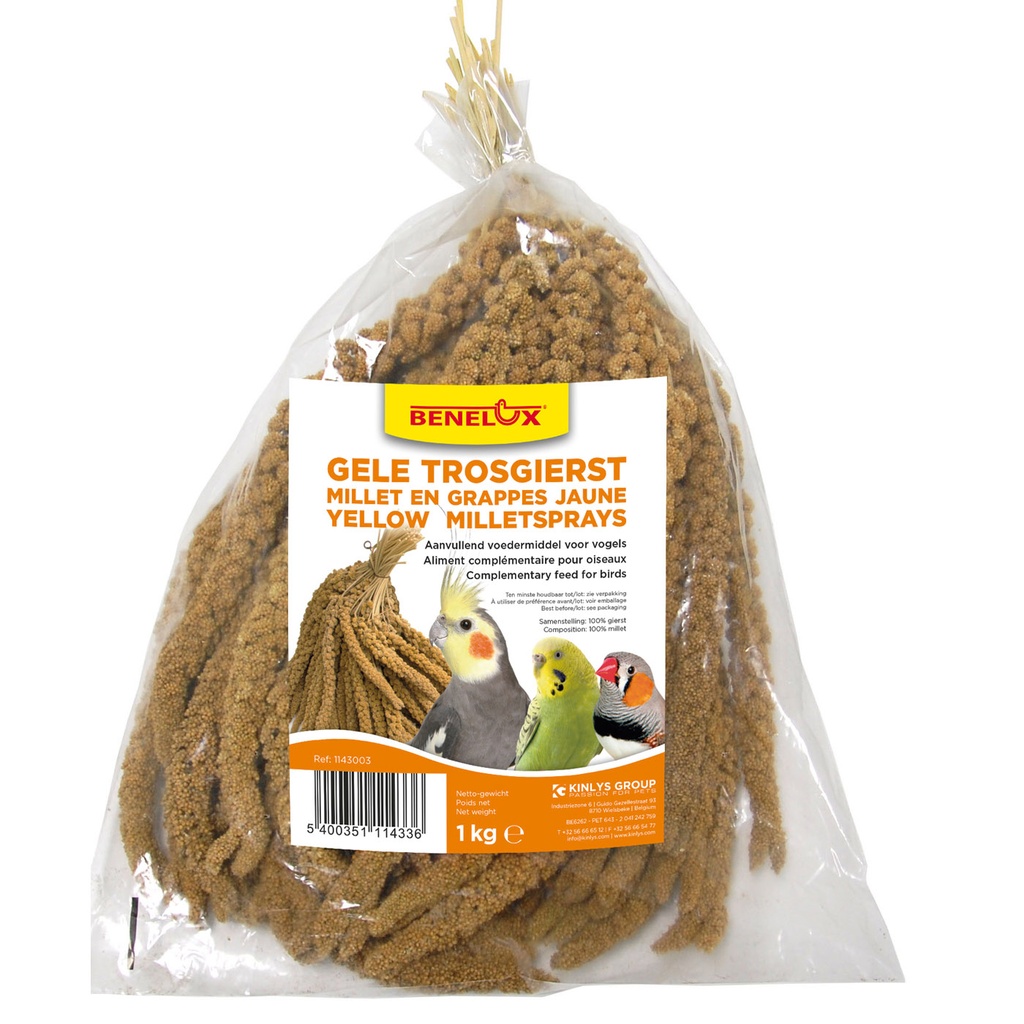 [BP1143003] TROSGIERST FRANSE 1KG