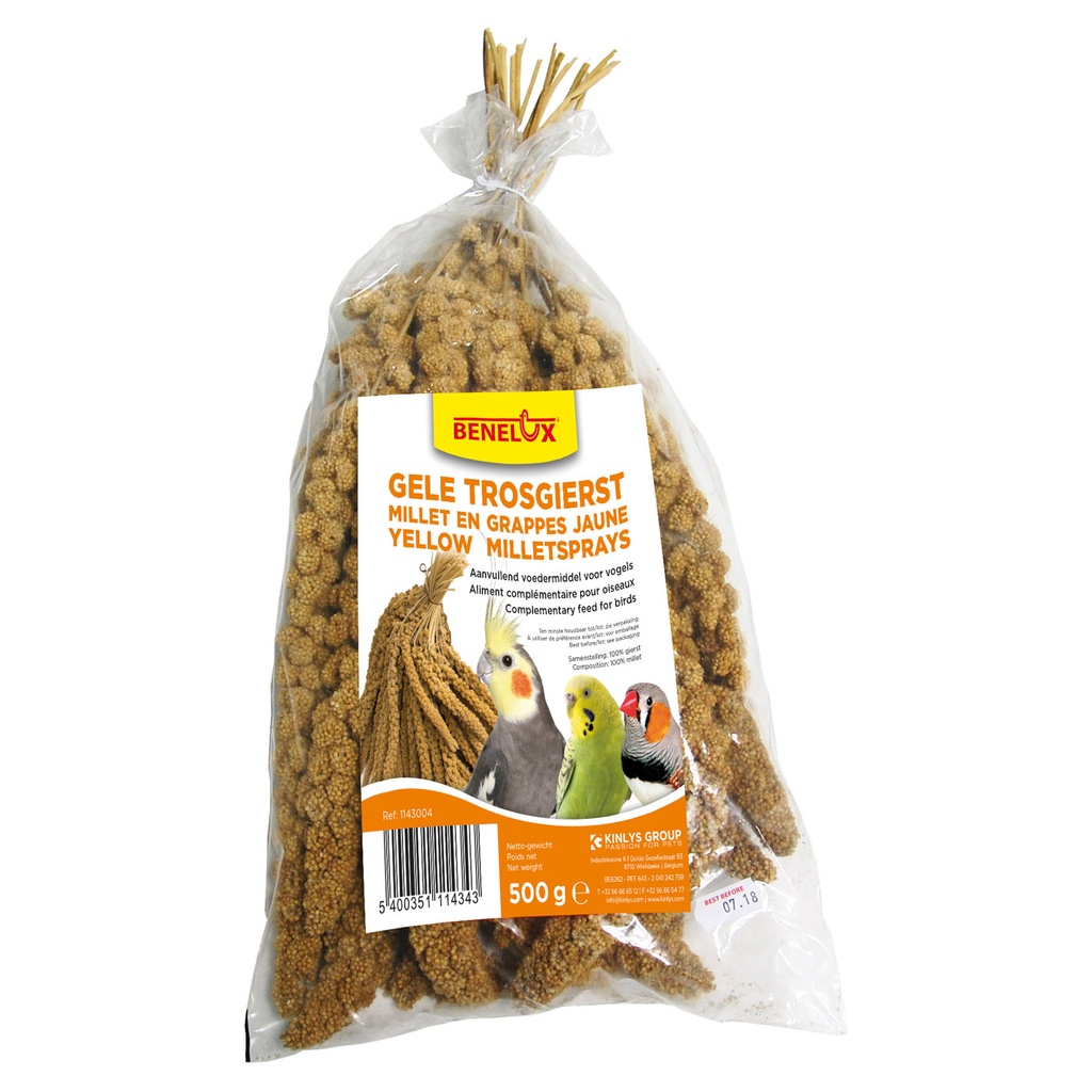 [BP1143004] TROSGIERST FRANSE 500G