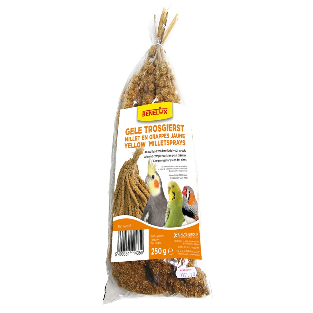[BP1143005] TROSGIERST FRANSE 250G