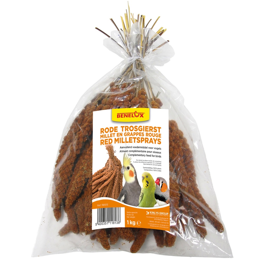 [BP1181013] TROSGIERST RODE 1KG